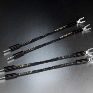 Lautsprecherbrücke Celesta von Esprit Audio jetzt telefonisch oder per E-Mail mit 3% Skonto bestellen oder vorher kostenlos als Testpaket zu Hause ausprobieren.