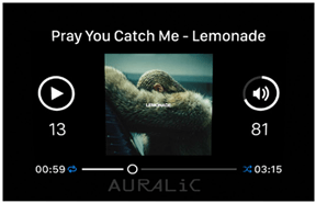 auralic g2 serie display