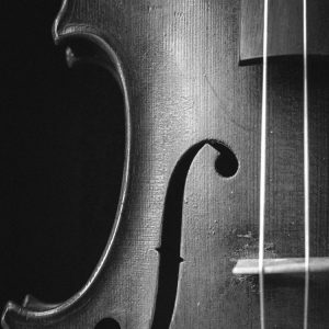 lyravox aktivlautsprecher technik geige