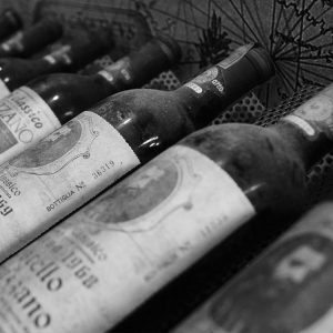 lyravox aktivlautsprecher technik wein