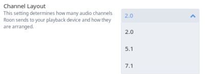 roon multichannel channel layout