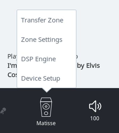roon musikserver zonen umbennenen ansicht